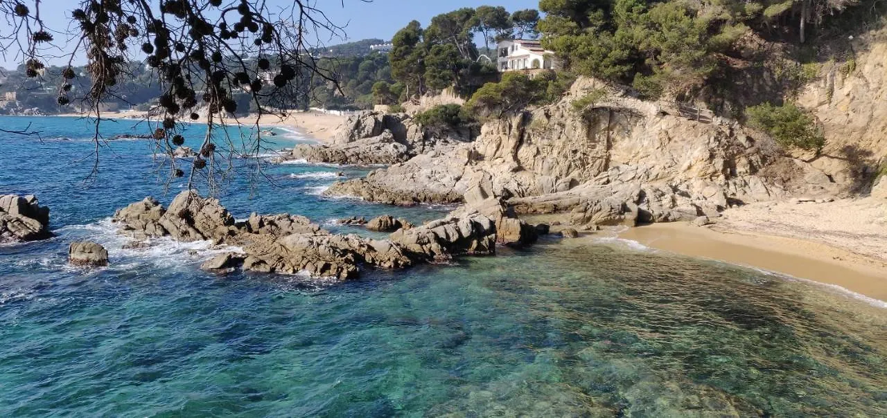 Apartment Apartamento Calella Home Calella De Palafrugell